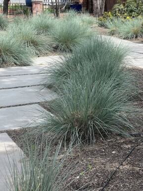 Aucune image disponible