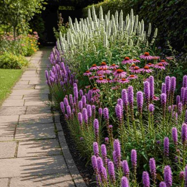 Pack Nectar de Fin d’Été