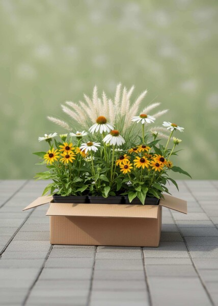 Mélange Lueur d’Automne