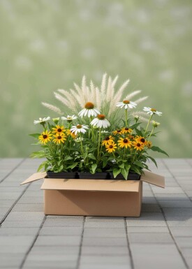 Mélange Lueur d’Automne