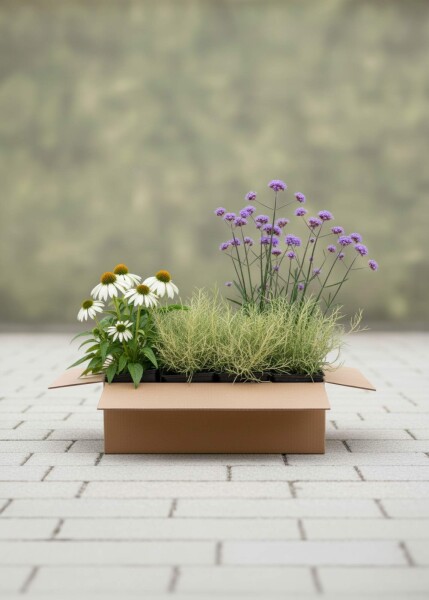 Mélange Élégance Ensoleillée