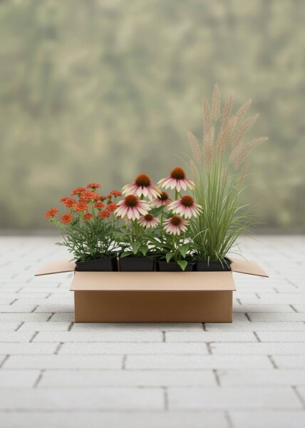 Mélange Lueur de Fin d’Été