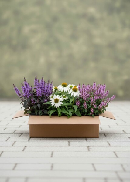 Mélange Bilan d’été