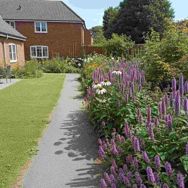 Mélange Bilan d’été