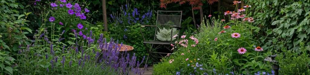Inspiration : Créez un petit jardin plein d’ambiance image