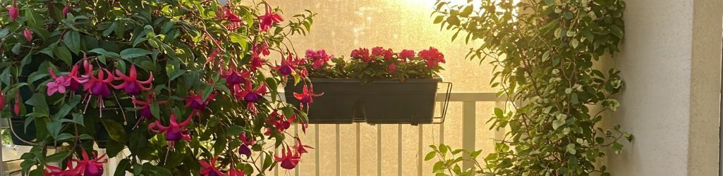 Petit espace, grand effet : voici comment aménager un balcon vert image