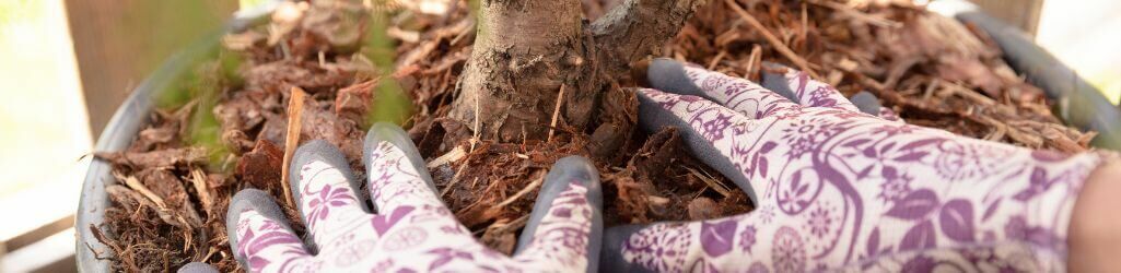 Protégez vos plantes de jardin du gel sans plastique ni voile d’hivernage image