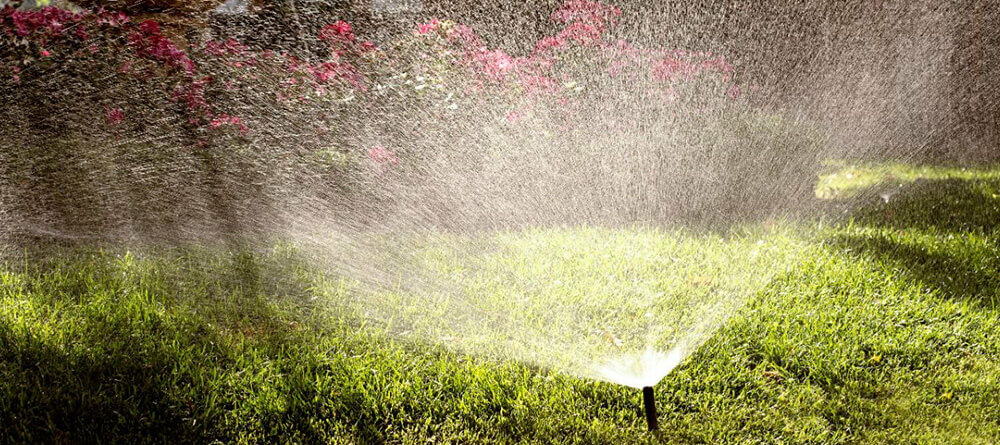 Jardinage surprenant en juin