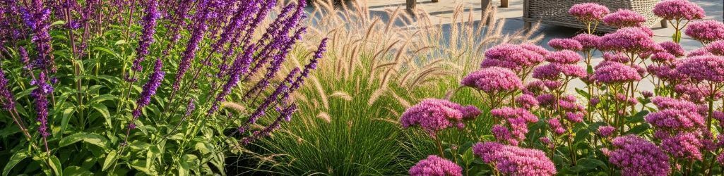 Top 7 plantes résistantes à la chaleur pour un jardin ensoleillé image