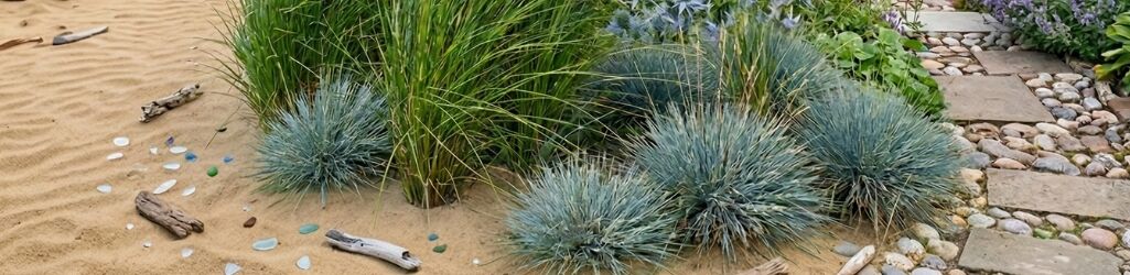 Comment créer un jardin maritime image