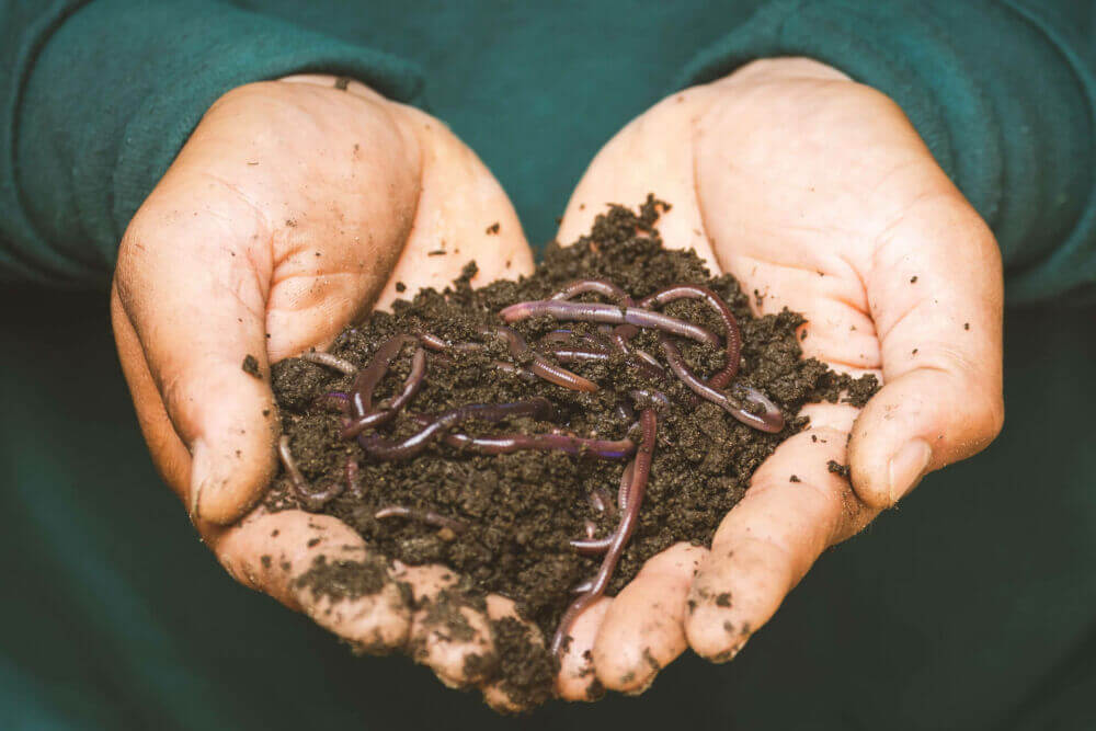 Créez votre propre tas de compost