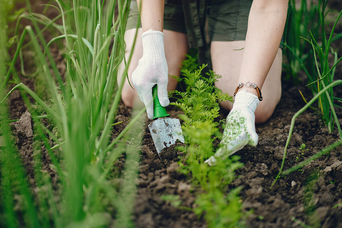 Le jardinage, c'est bon pour la santé