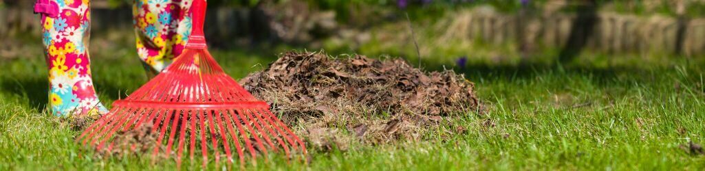 Utilisez intelligemment les feuilles d’automne comme protection naturelle pour votre jardin image