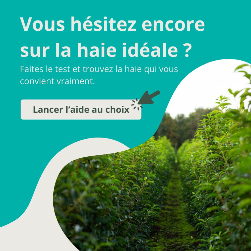 Aide à la décision